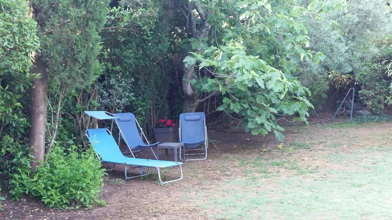 Charmant Studio: Quiet Oasis with Pool in Villeneuve-lès-Avignon Exterior photo